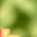 광안마린소아청소년과의원 이미지