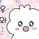 한양대 베스트 태권도장 이미지