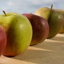 장고행정사 이미지