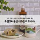 (주)유림고려홍삼 | 유림고려홍삼 대추진액 99.9% 후기｜자연 단맛으로 즐긴 대추차·대추진액우유