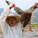 덕담골유황오리 이미지