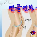 연화침구