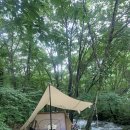 해지게캠핑장 | 충북 제천 덕동골오토캠핑장 계곡캠핑장 추천 명당D1솔로캠핑