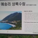 뾰족산 펜션 이미지