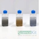 오싸이언스 이미지