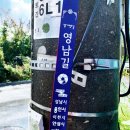 영남대로 이미지
