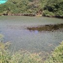 서오상부 이미지