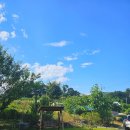 스테이 파란 | [양양] 강원도 독채 펜션 한옥스테이파란 (위치, 예약, 후기)