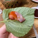 신령역돔양어장회 이미지