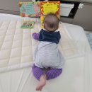 북치농장 이미지