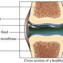 태선생 운동건강연구원(저스트바디짐) 이미지