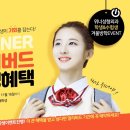 위너성형외과의원 네이버블로그