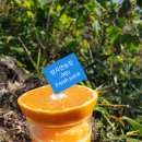 방자농장 이미지