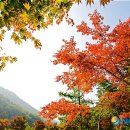 성주산 이미지