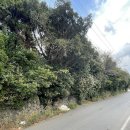 상모리-22 이미지