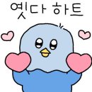 디스이즈모름 이미지