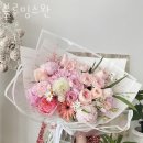 블루밍스완