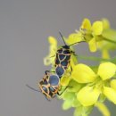 이서농장 이미지