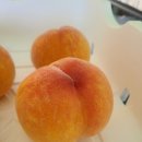 금바위농장 이미지