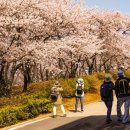 선경화학