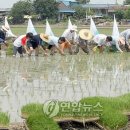 성덕동-9 이미지