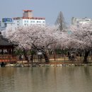 운천저수지 이미지