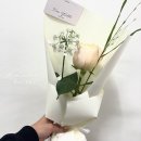 프롬윤 이미지