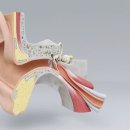 독일 보청기 양산센터 이미지