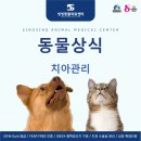 씽씽 동물의료센터 이미지