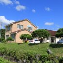 무릉도원면사무소 이미지