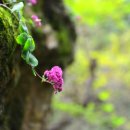 물에서산으로 이미지