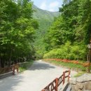 운문산자연휴양림 이미지