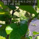 막둥이네 이미지