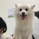 뭉스파 이미지