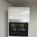 기운내팔딱오징어