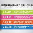 송파농협하나로마트 이미지