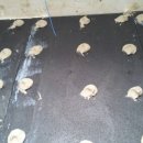 대창목재 이미지