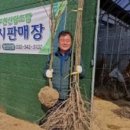 임산물유통센터 숲카페