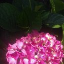 준이농장 이미지