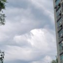[공주나들이]반려견 동반 무성산, 마당안 작은 계곡이 있는 단독주택(airbnb Eric님 숙소)