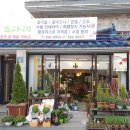 꽃in뜨라레