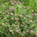 설천초등학교 이미지