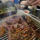 신대장군집