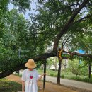 새암공원(3) 이미지