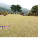 들꽃피는 언덕 이미지