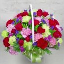 구로-구로-구로-845 이미지