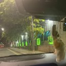 수정셀프세차장 | 수도권 최대규모 노터치 세차장 오토스테이 청라검단노터치세차장 후기