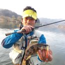 여울쏘가리 이미지