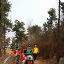 남산숲어린이집 이미지