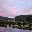 도그매니저 이미지